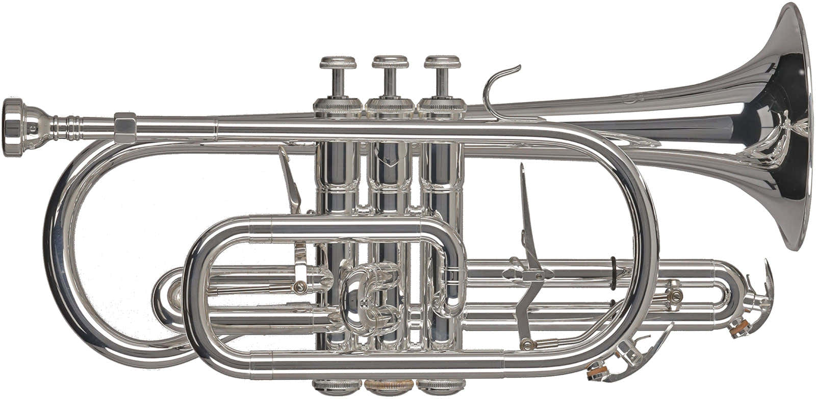 Ambition CR651S Sib Plateado