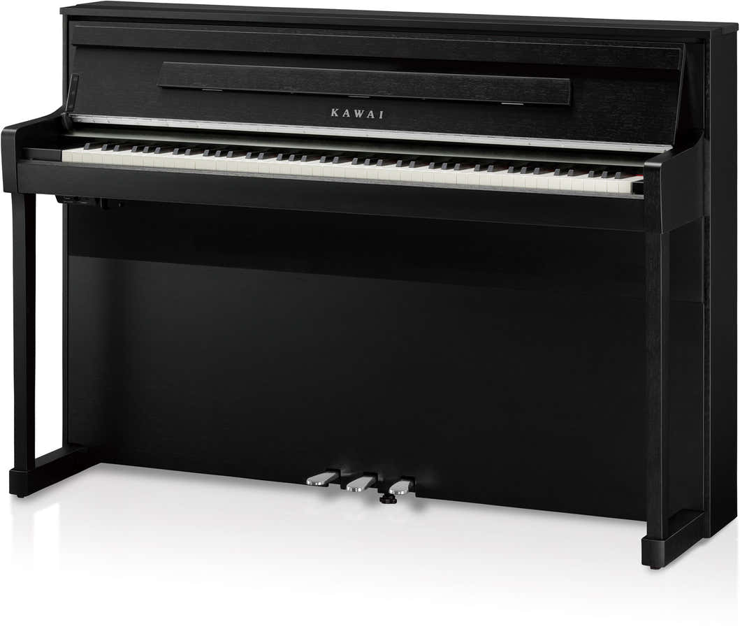CA901 Negro