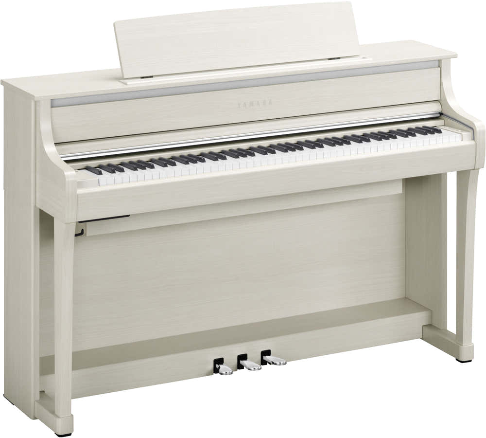 CLP875 Abedul blanco