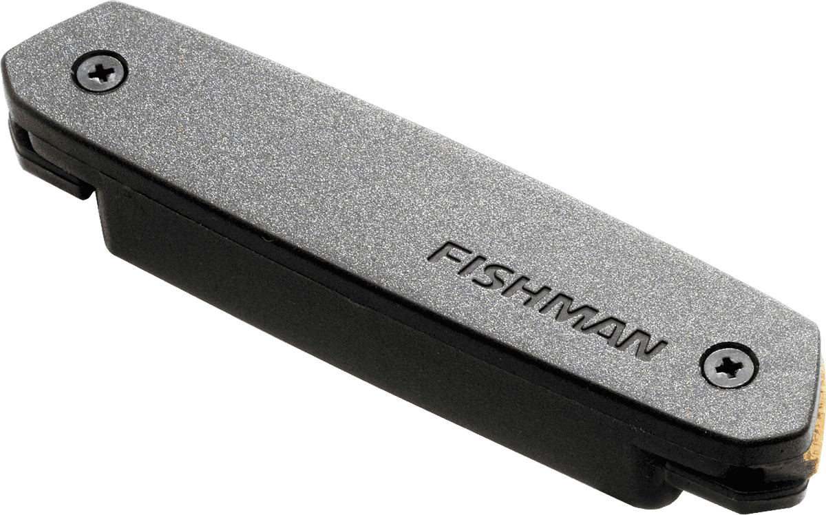 NEO-D MAGNETIC SOUNDHOLE PICKUP