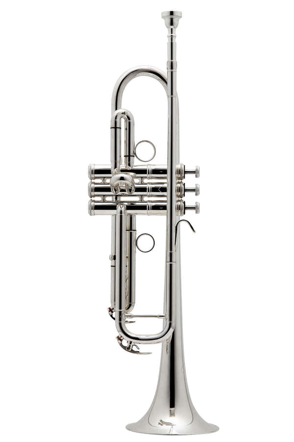 New Standard Sib Plateada - BE111-2-0