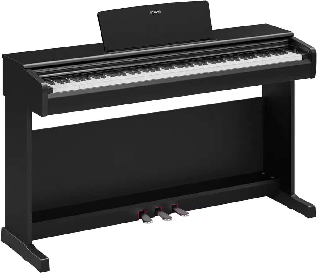 YDP-146 Black
