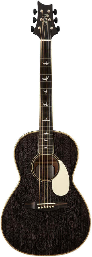 PARLOR SE 20 PIEZO DG DOG HAIR