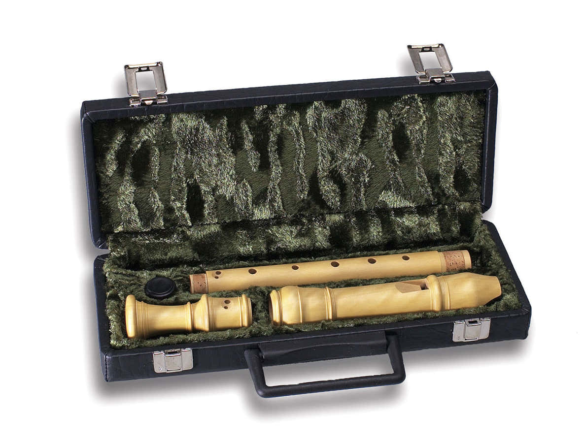 CASE FOR ALTO RECORDER 7102