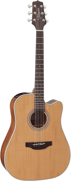 Takamine Gd20Ce Ns Tp4 Td