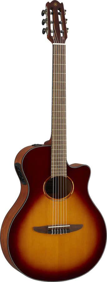 Ntx1 Sunburst marrón