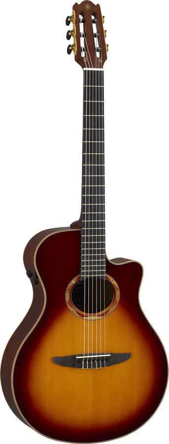 Ntx3 Sunburst marrón