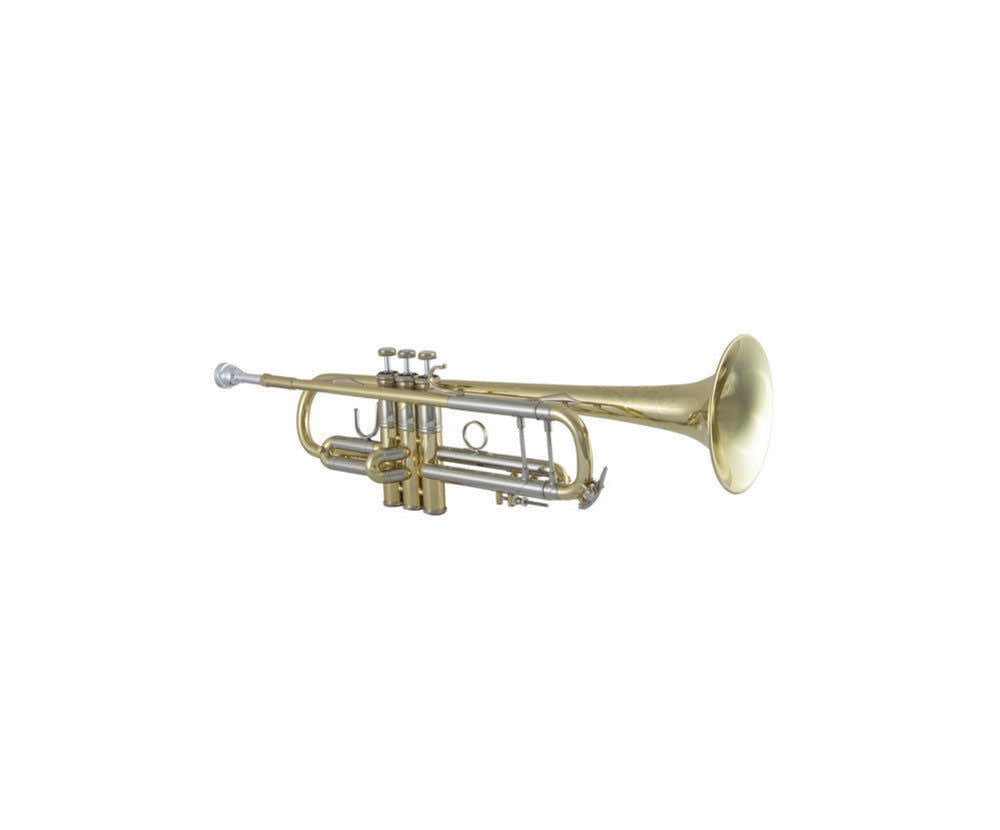 190S43 - SIB STRADIVARIUS PLATEADO