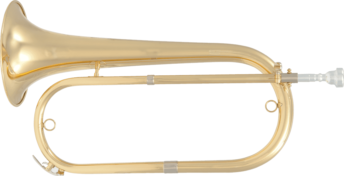 CUERNONETA SIB - LATON DE CHAROL - GIGBAG