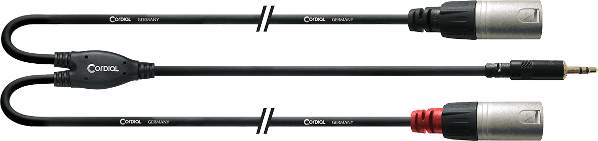 Cable Y Divisor Minijack Estéreo/2 XLR Machos Largos 3 M