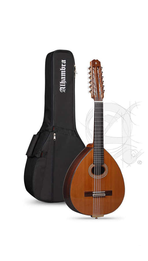 Conservatory L-6P A Lutes + 9534 Gigbag