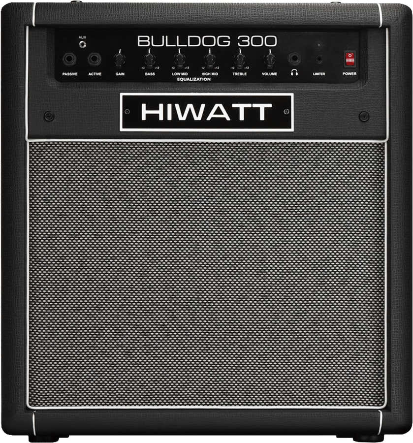 Bulldog 300C 300 W 15"