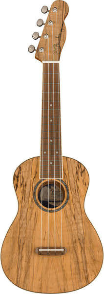 Zuma Uke Exótico Concierto Wn Spalted Maple