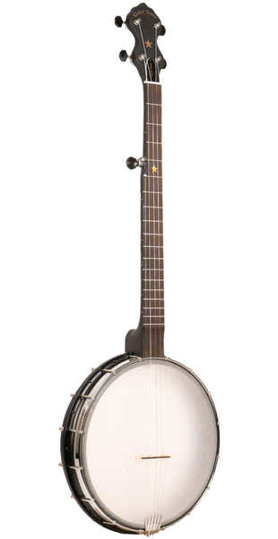 Gold Tone AC-12 Banjo 5