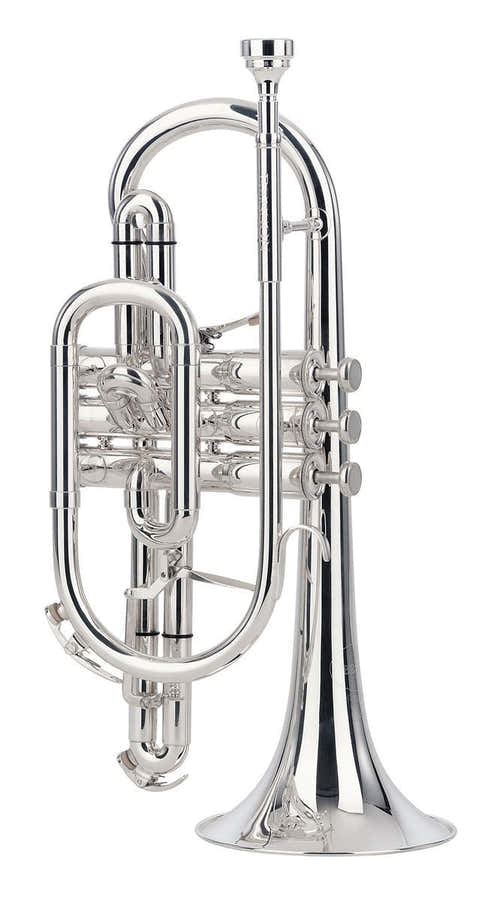 Sovereign Sib Plateado - BE928G-2-0