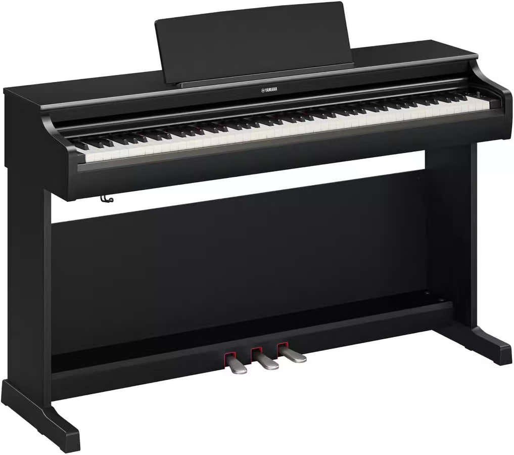 YDP-166 Black