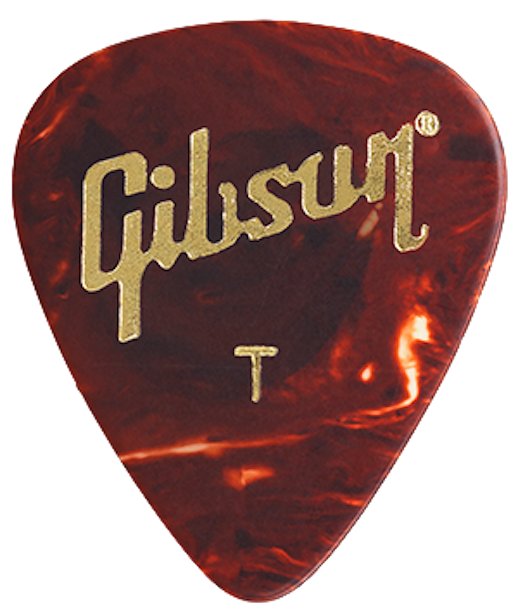 GUITAR PICKS TORTOISE 12 PACK THIN