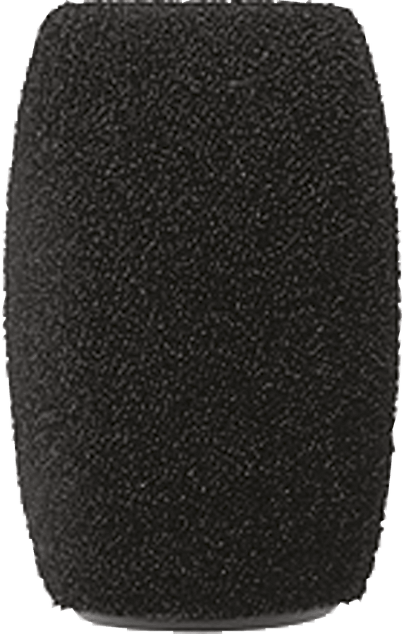 RK412WS