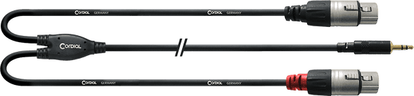 Cable Y Divisor Minijack Estéreo/2 XLR Hembras 1,8 M