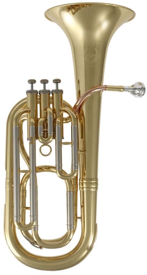 WSH200 - Sib barnizado