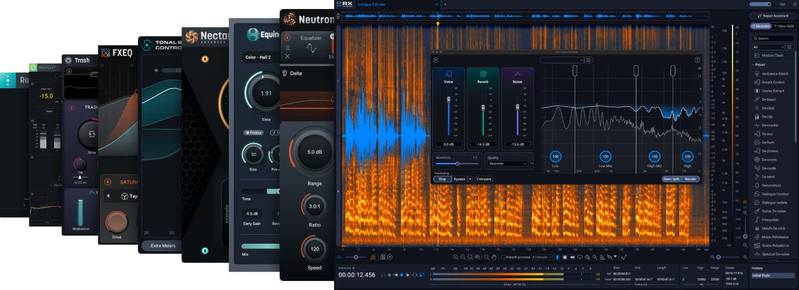 RX Suite de posproducción 9: CG RX 12 Avanzado