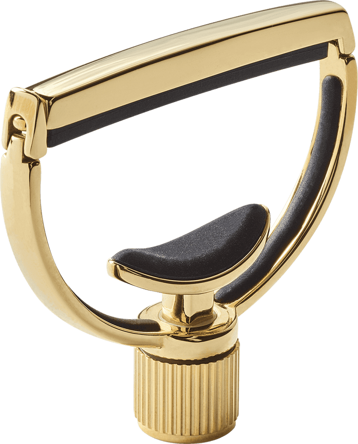Heritage Guitarra Style 1 Ancha Oro