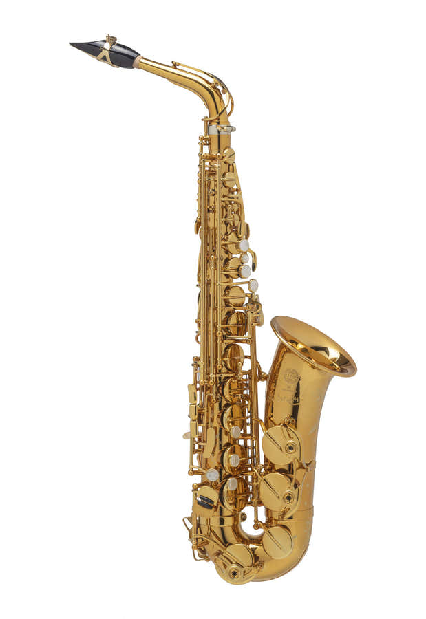 ALTO - SUPREME DGG (LACADO DARK GOLD CON GRABADO)