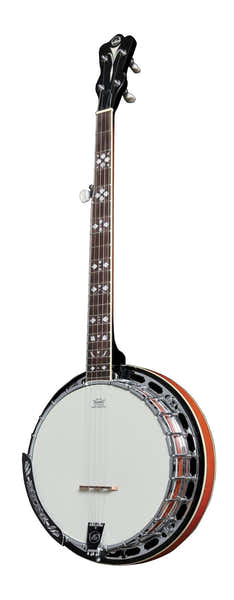 VGS Banjos Premium 5 Cuerdas Con Estuche