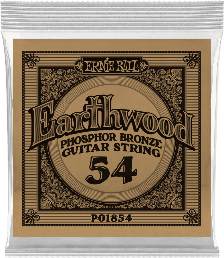 .054 EARTHWOOD PHOSPHOR BRONZE ACOUSTIC GUITAR STRINGS