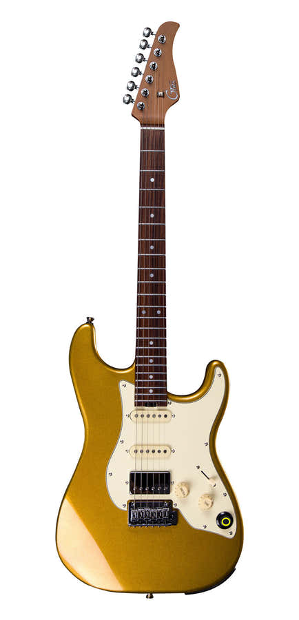 Gtrs Standard 800 Oro