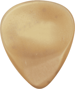 GUITAR HORN