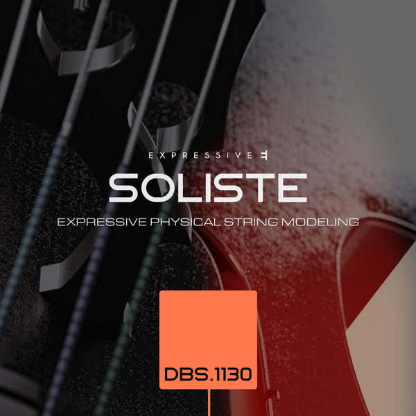 Soliste BDS.1130 Double Bass