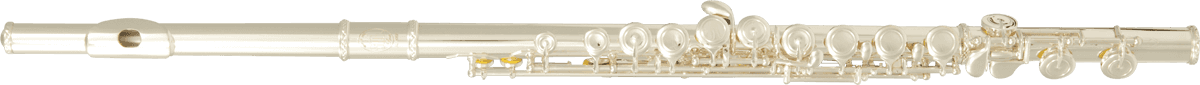 TRANSVERSE FLUTE BEGINNER FL300E