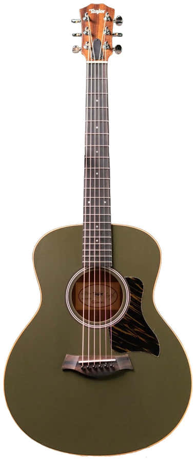 GS Mini-e Ltd Oliva