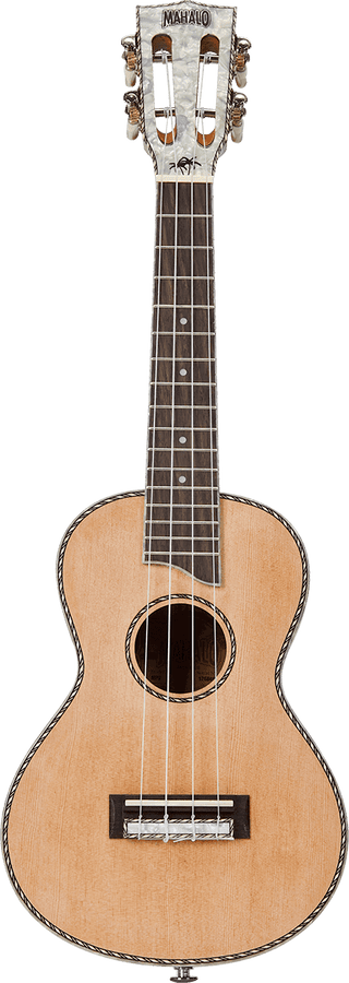 Concert Natural Cabezal Perlado + Funda