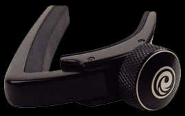 NS cejilla plateada