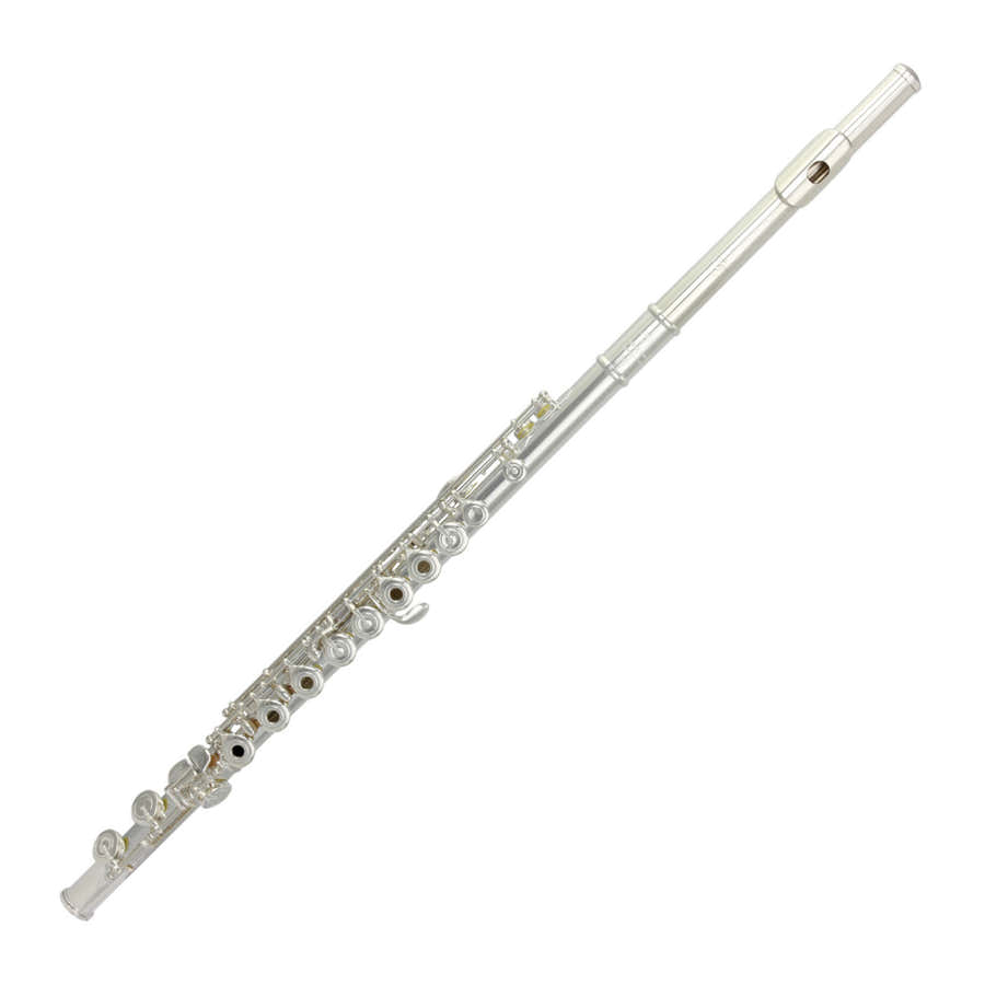 Cantabile - Cabezal Plateado 31CV-RX
