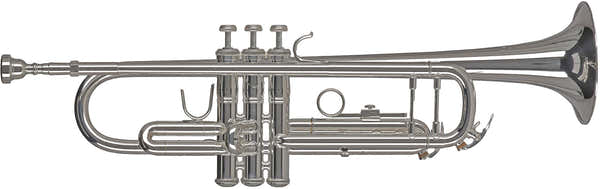 Ambition TR501S Sib Plateada