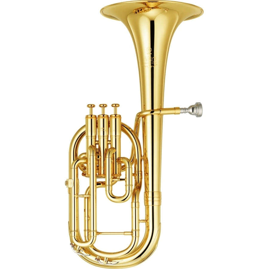 SAXHORN PROF. - SAXOFN ALTO EB NEO
