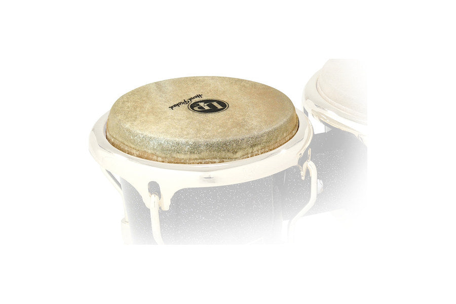 parches de bongo