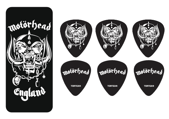 6 x Warpig Medio Caja