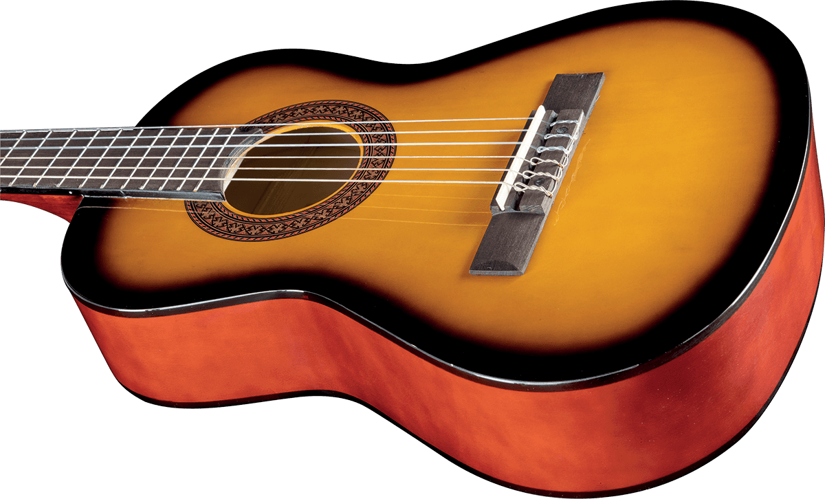 CS-2 1/2 Sunburst + Funda