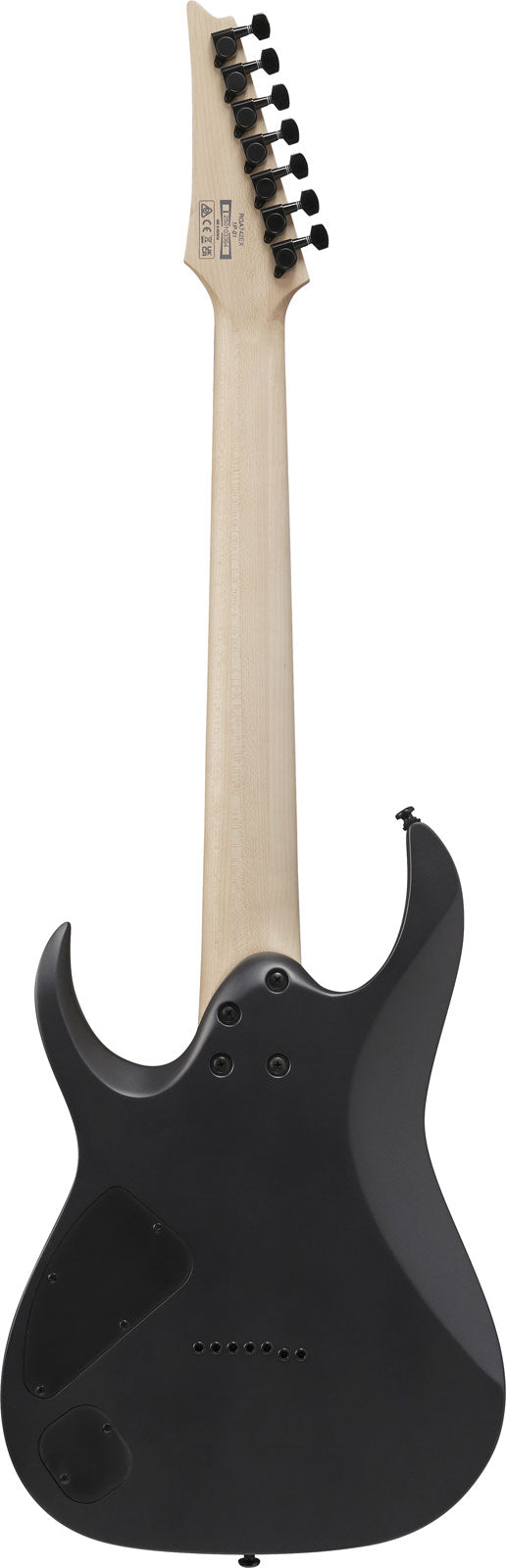 RGA742EXBAM Negro Aurora Burst Mate