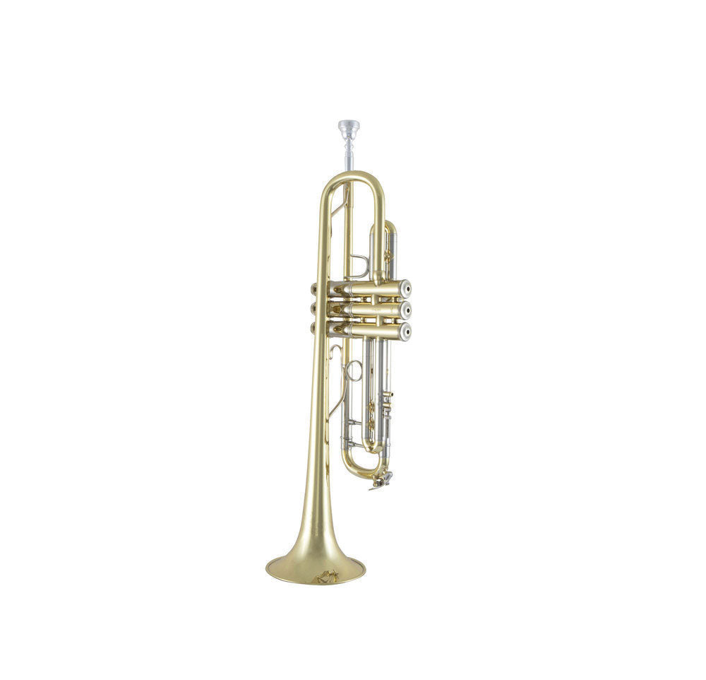 190S43 - SIB STRADIVARIUS PLATEADO