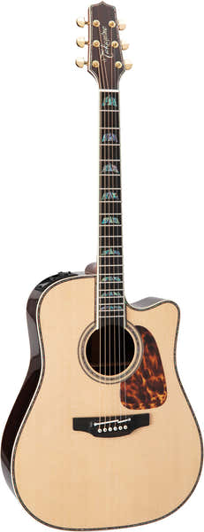 Dreadnought Cutaway Electro P10DC