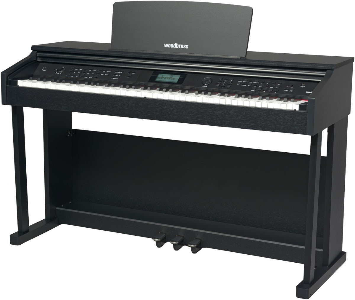 DP3 Negro