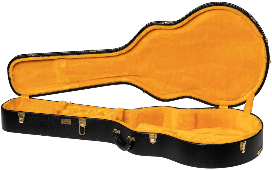 Estuche ES-335 Lifton Historic Negro/Vara de oro