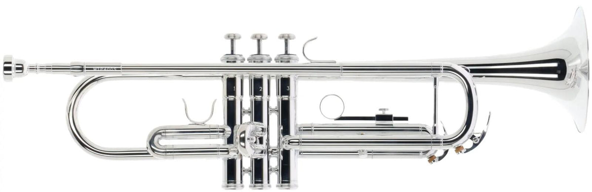 Woodbrass WTP400S - Sib Plateada
