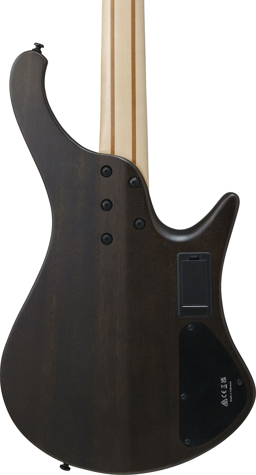 EHB600L Bass Workshop LTD Edition Zurdo Walnut Flat