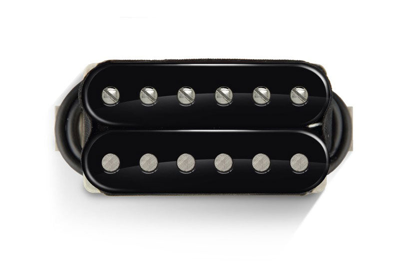 Nailbomb 6 AlNiCo Set Open BLACK-black Nickel Screw